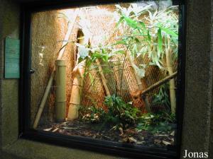 Vivarium