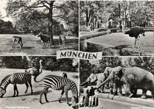 Carte postale