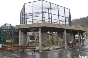 Ancienne cage des chimpanzés transformées pour des capucins