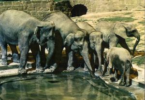 Carte postale