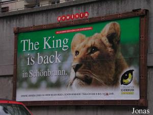 Panneau publicitaire dans une rue de Vienne "Le Roi est de retour à Schönbrunn"