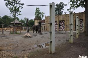 Enclos des éléphants asiatiques