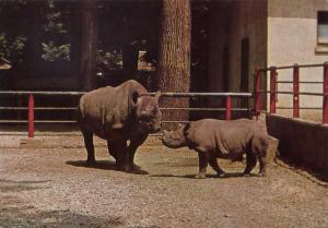 Carte postale