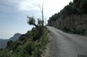 Route menant au Parque de la Naturaleza de Peña Escrita