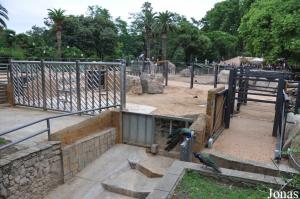 Installation des éléphants et rampe d'accès vers le bâtiment