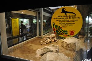 Terrarium des tortues molles du Nil