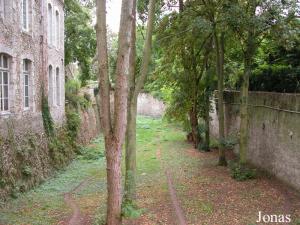 Enclos des guépards