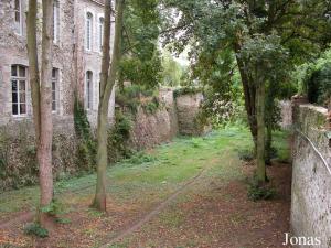 Enclos des guépards