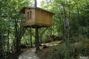 Cabane des ouistitis à toupet blanc