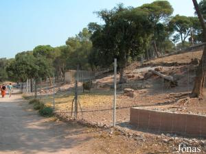 Enclos des mouflons de Corse