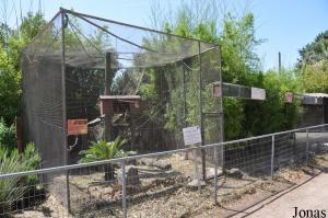Cage des saimiris écureuils