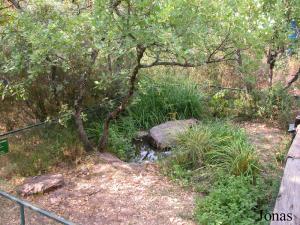Enclos et bassin des tortues hargneuses