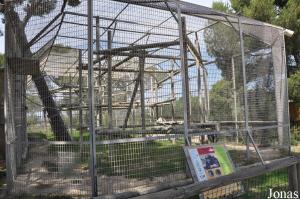 Cage agrandie et rénovée des chimpanzés