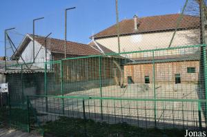 Ancien enclos des tigres, provisoirement occupé par des hyènes rayées