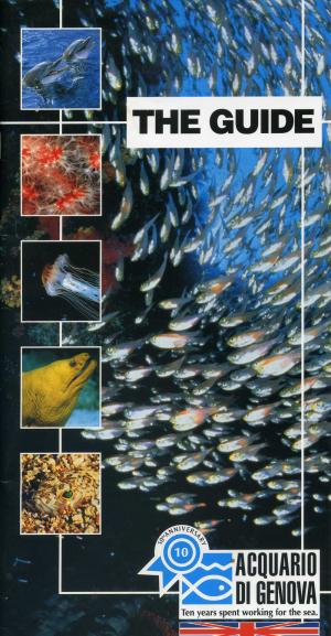 Guide 2003 - Edition anglaise