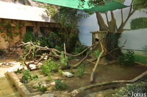 Enclos des aras macao