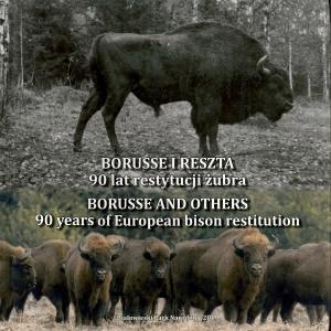 <strong>Borusse and others, 90 years of European bison restitution</strong>, Malgorzata Bolbot, Bialowieski Park Narodowy, Bialowieza, 2019