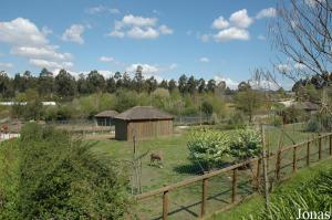 Blesboks enclosure