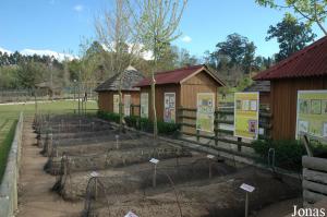 Vegetable garden next to the farm corner