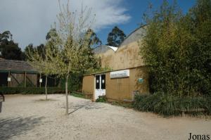 Tropical house and some aviaries for parrots and toucans