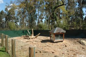 Meerkats exhibit