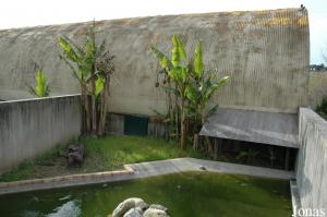 Outside exhibit for crocodiles