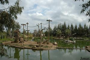 Islands for capuchin monkeys