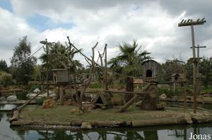 Black-and-white ruffed lemurs island