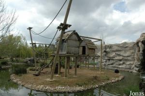 Siamangs island