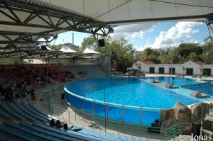 Dolphinarium