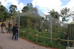 New enclosure of the snow leopards