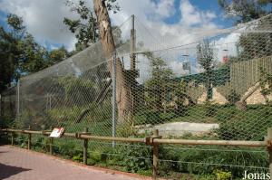 New enclosure of the Persian leopards