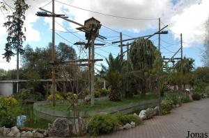 Island of the lar gibbons