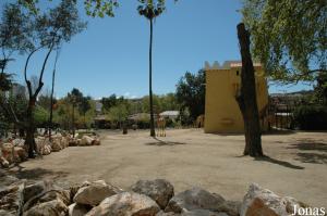 Exhibit of the Angolan giraffes