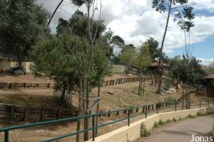 Enclosure of the scimitar-horned oryx