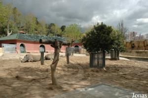 White rhinoceros enclosure