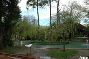 Island for squirrel monkeys in the amusement quarter