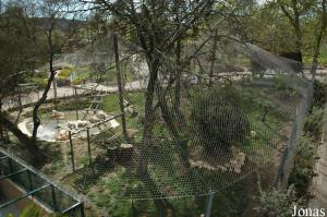 White tigers enclosure