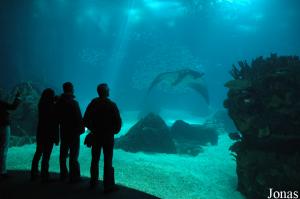 View of the Central Tank