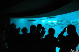 View of the Central Tank