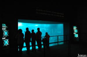 View of the Central Tank