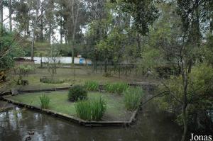 Enclosure for waterfowls