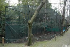 Row of aviaries for curassows