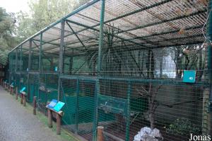 Row of aviaries for pheasants