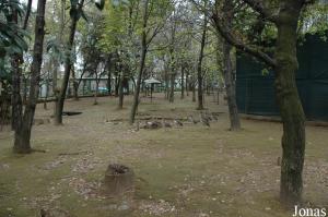 Enclosure of the Egyptian geese