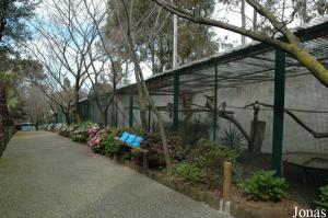 Row of cages for parrots