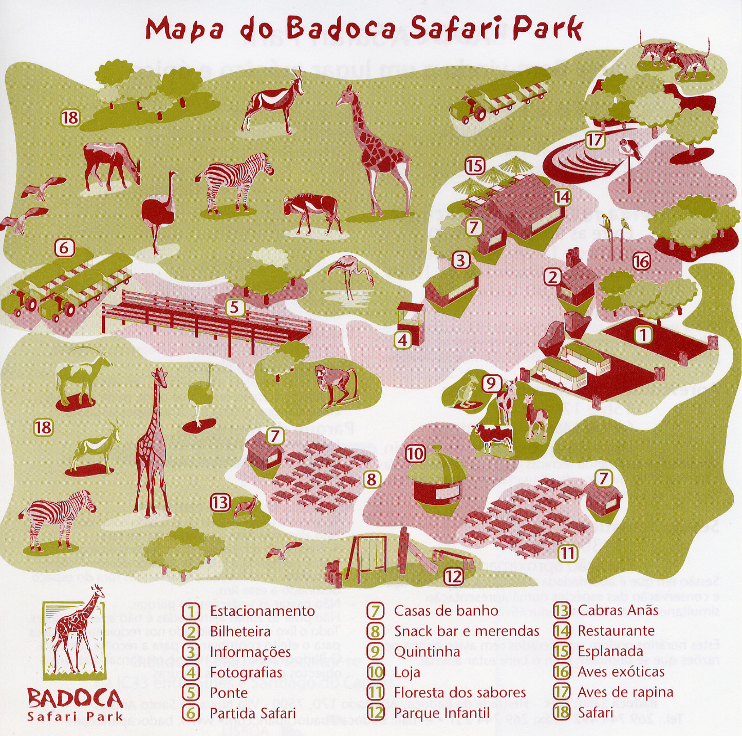 Les Zoos Dans Le Monde Badoca Safari Park