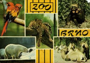 Carte postale