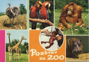 Carte postale
