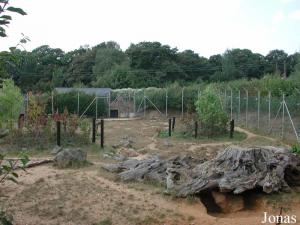 Enclos des hyènes tachetées